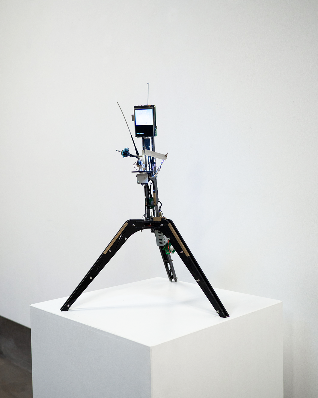 Da Fest 10 | Doza Gallery