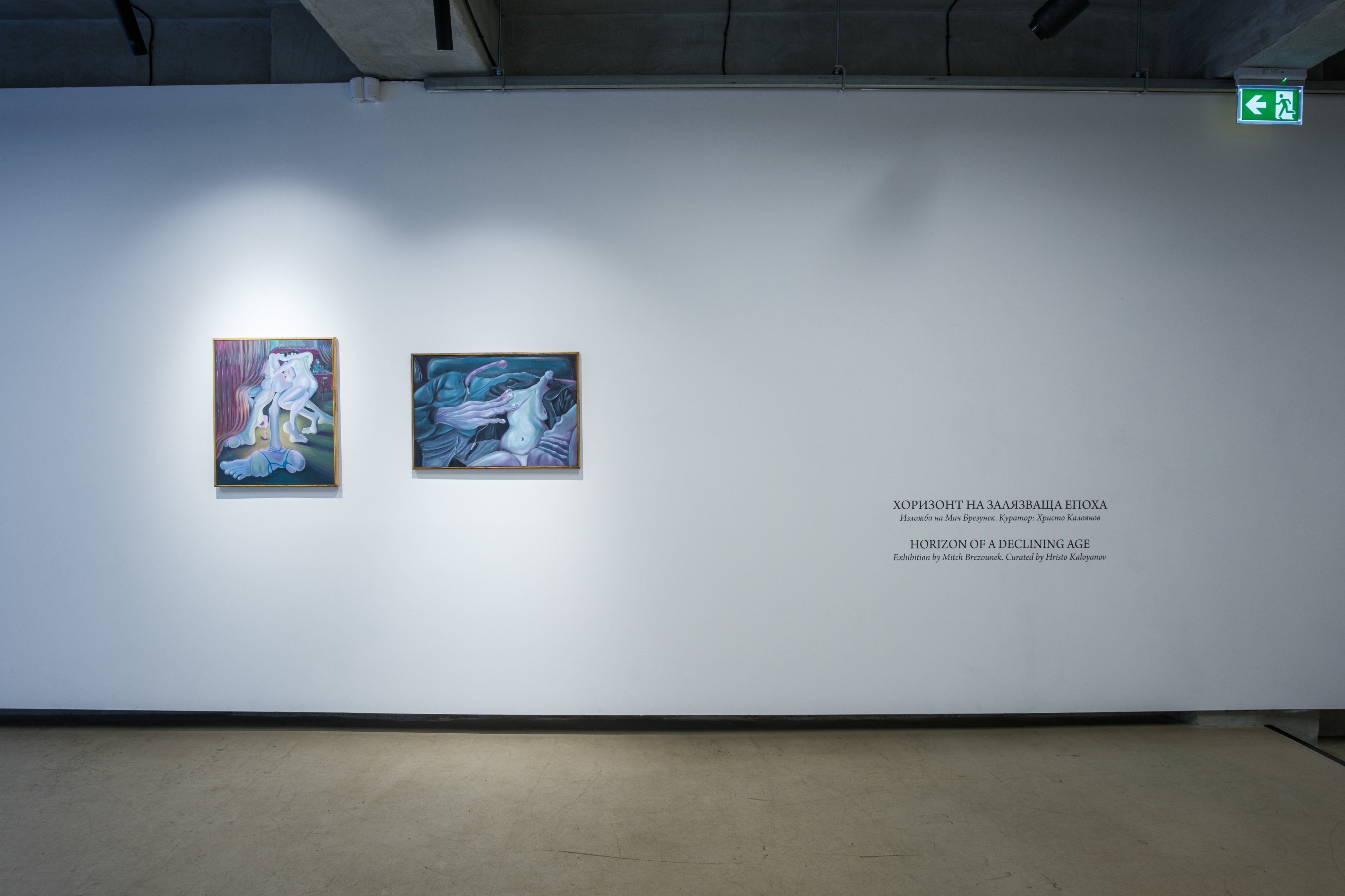 HORIZON OF A DECLINING AGE | Doza Gallery