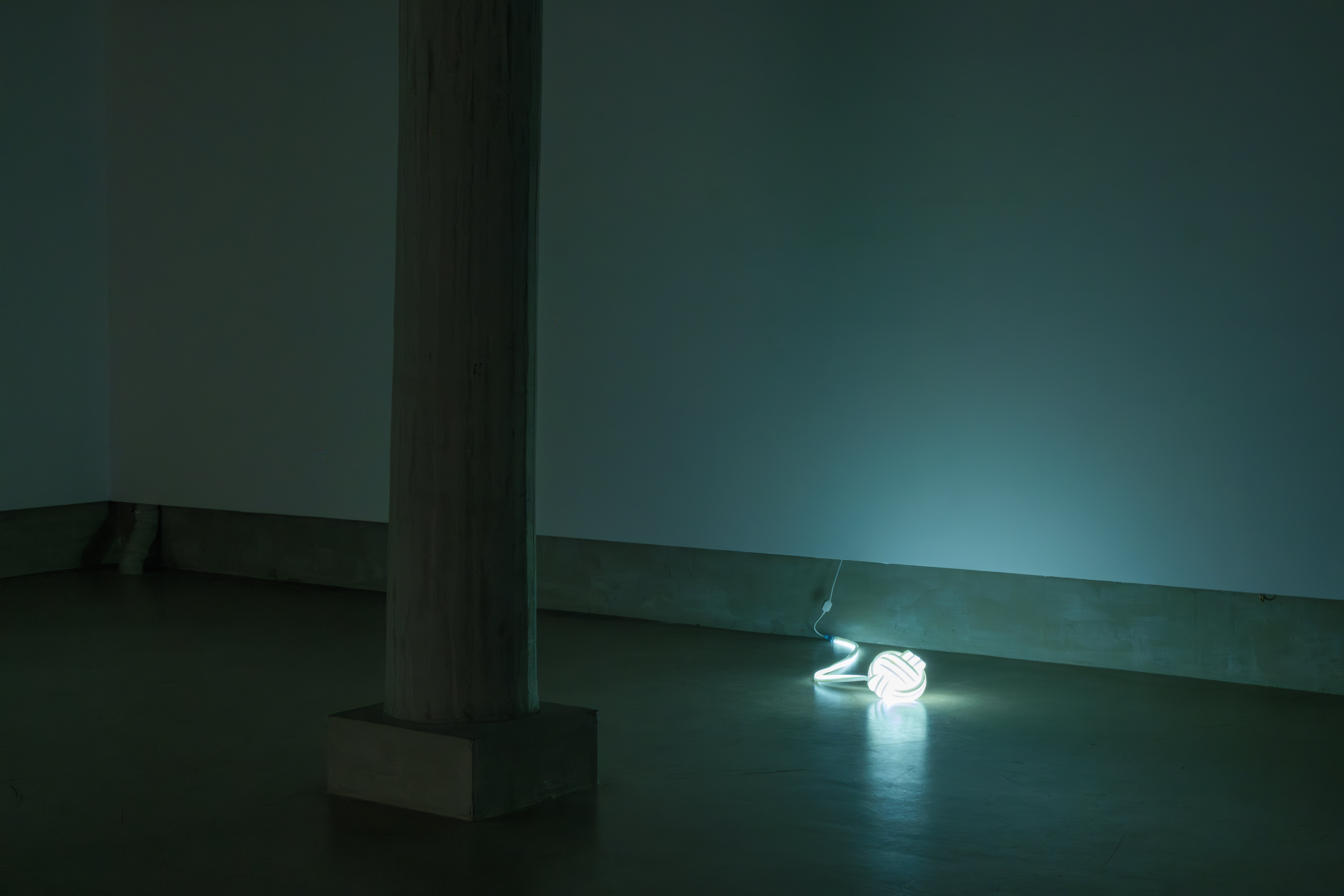 PACE | Doza Gallery