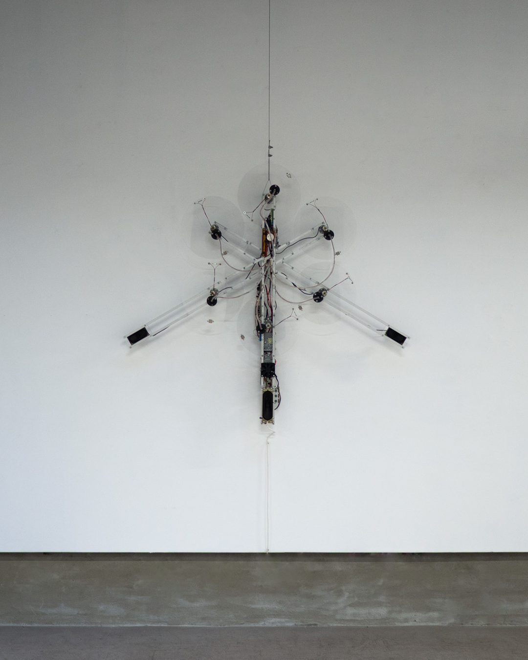 Da Fest 10 | Doza Gallery