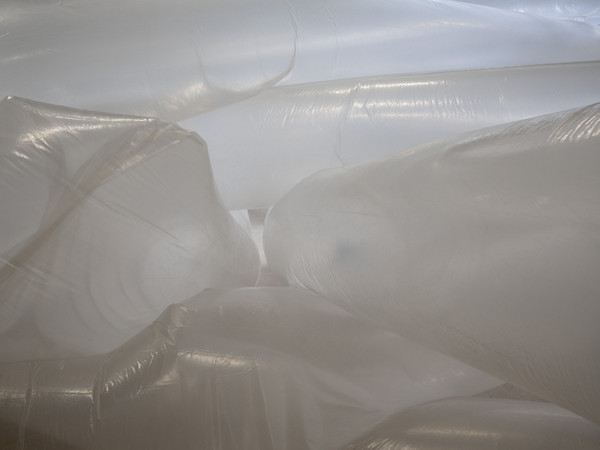 SELF-FORMING STRUCTURE IN FLUX | Doza Gallery