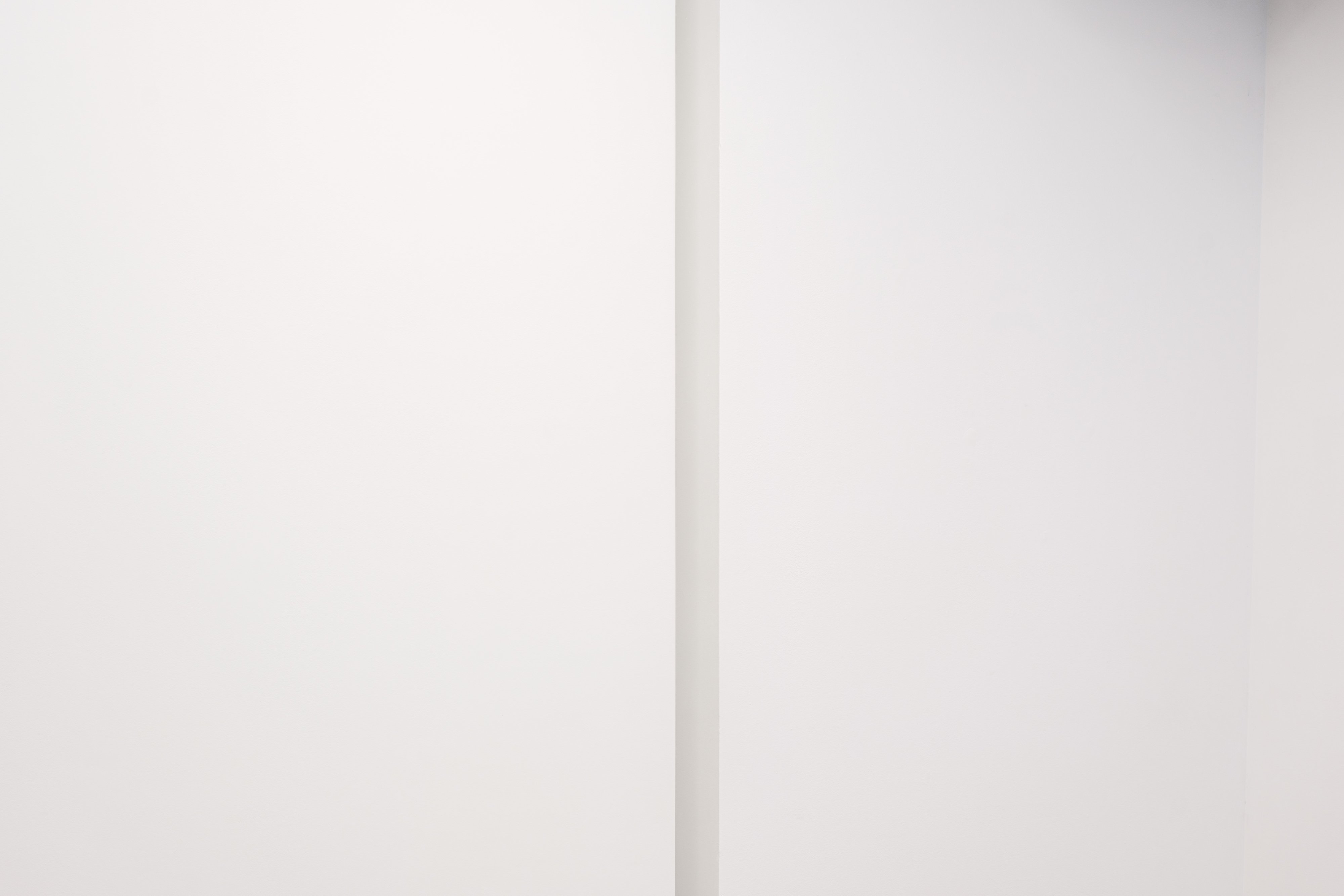 THE WHITE CUBE | Doza Gallery