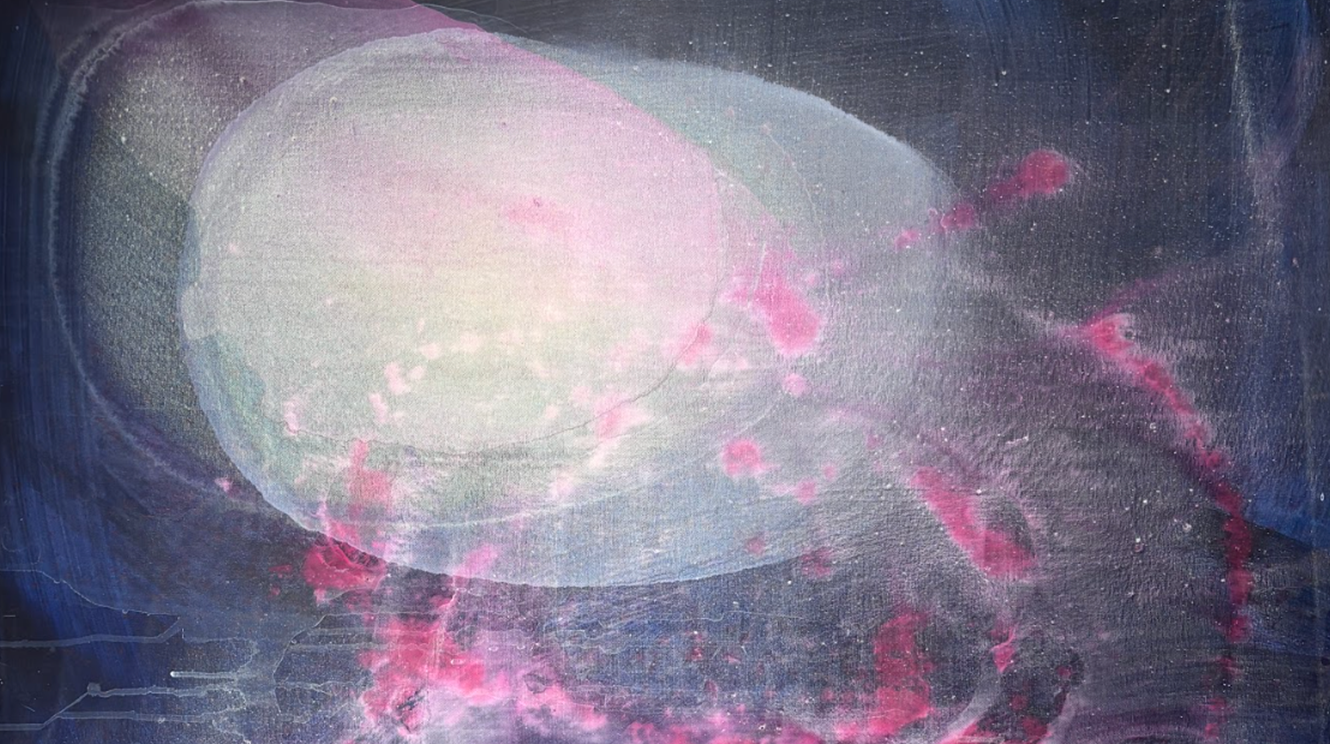 Exhibitions | Doza Gallery