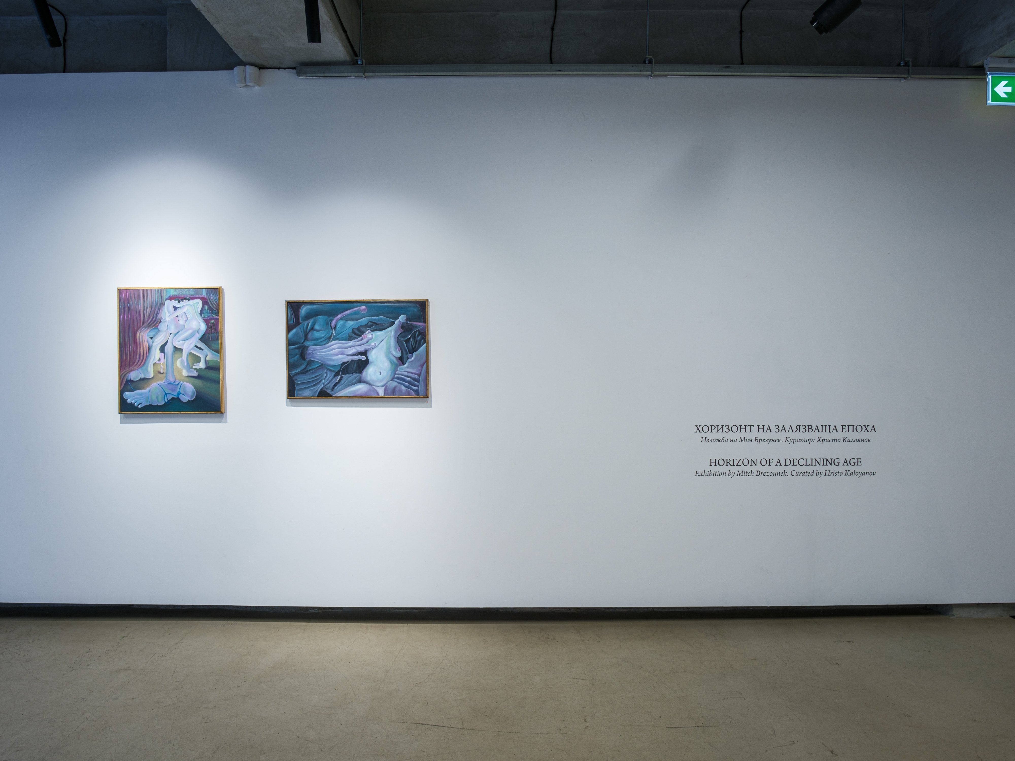 HORIZON OF A DECLINING AGE | Doza Gallery