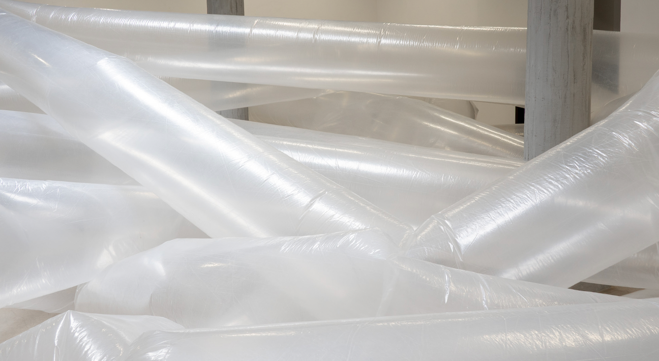 Exhibitions | Doza Gallery